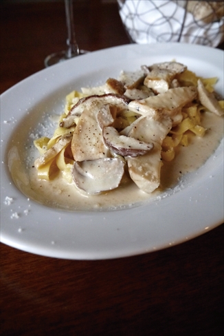 �t���b�V�� �|���`�[�j �t�F�A